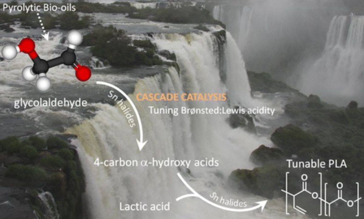 Toward Functional Polyester Building Blocks from Renewable Glycolaldehyde with Sn Cascade Catalysis