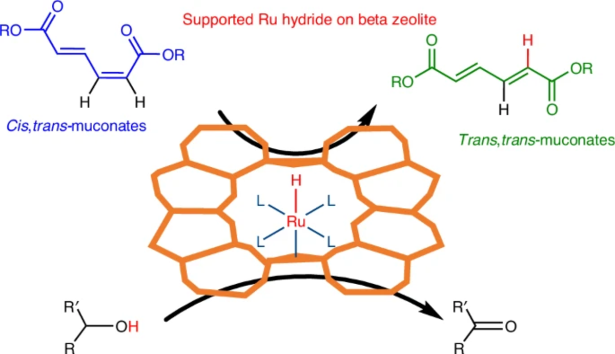 [87] Atomically dispersed ruthenium hydride on beta zeolite as catalysts for the isomerization of muconates