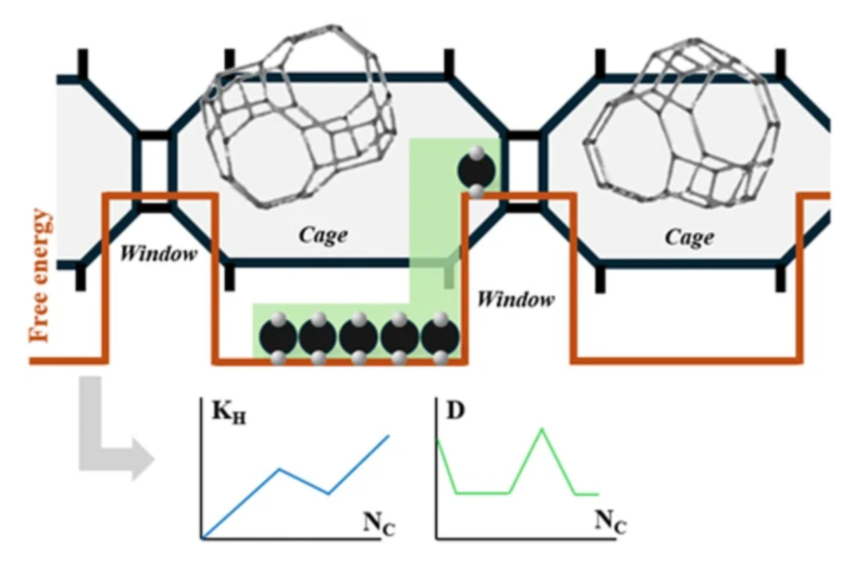 [112] Insights in adsorptive cage and window effects in zeolites from a 1D energy barrier model
