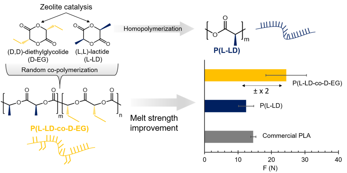 [57] Boosting PLA melt strength by controlling the chirality of co-monomer incorporation