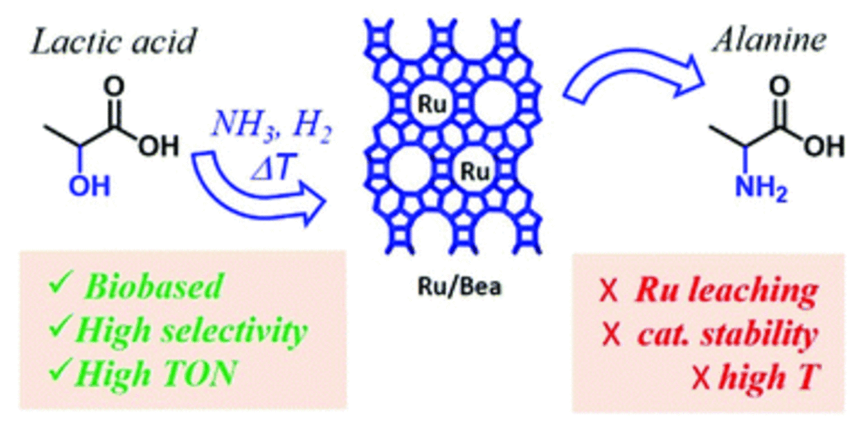 [66] Catalytic amination of lactic acid using Ru–zeolites