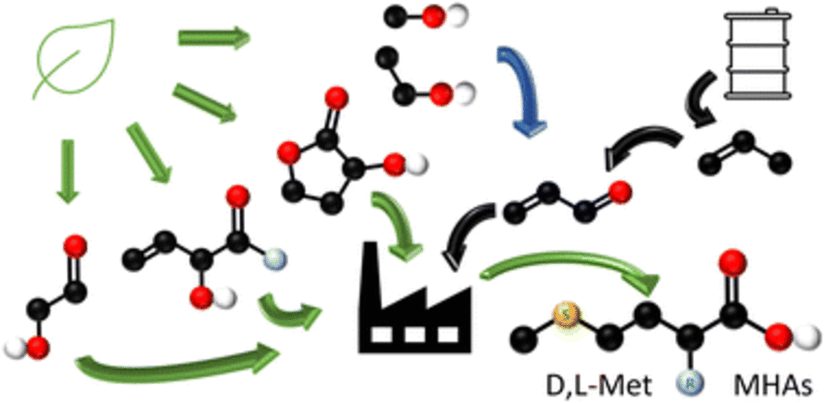 [82] Methionine and its hydroxy analogues: the paths toward their sustainable chemical synthesis